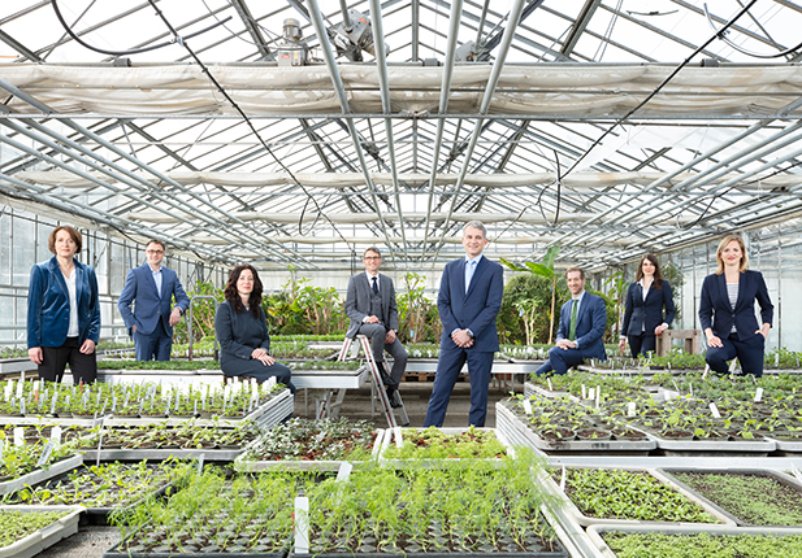 Regierungsrat des Kantons Basel-Stadt in einem Gewächshaus. Drei der Mitglieder sitzen, die anderen stehen. Auf Pflanztischen im Vordergrund sind unzählige Setzlinge, im Hintergrund hat es grössere Pflanzen.